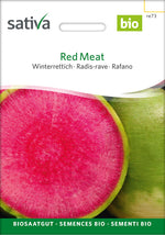 Sativa Winterrettich Red Meat
