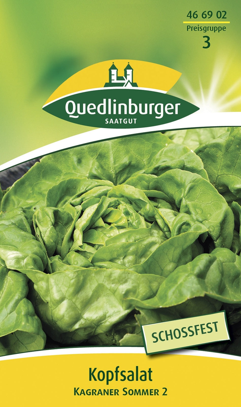 Quedlinburger Kopfsalat Kagraner Sommer 2