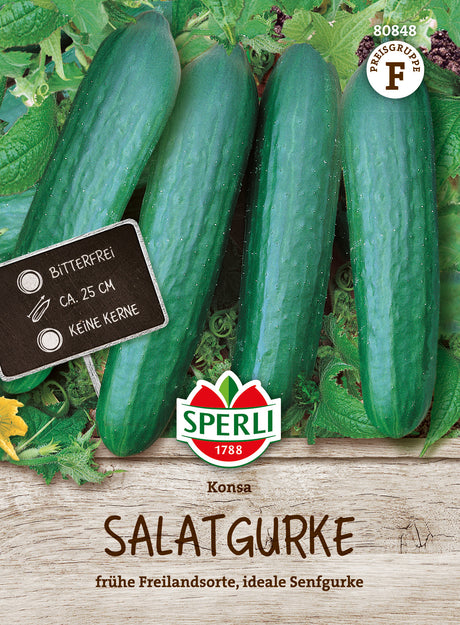 SPERLI Salatgurke Konsa
