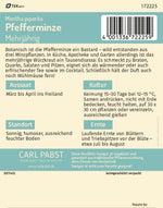 Pabst Keimkraft Pefferminze Mehrjährig