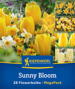 Mega Pack Spring Sunshine