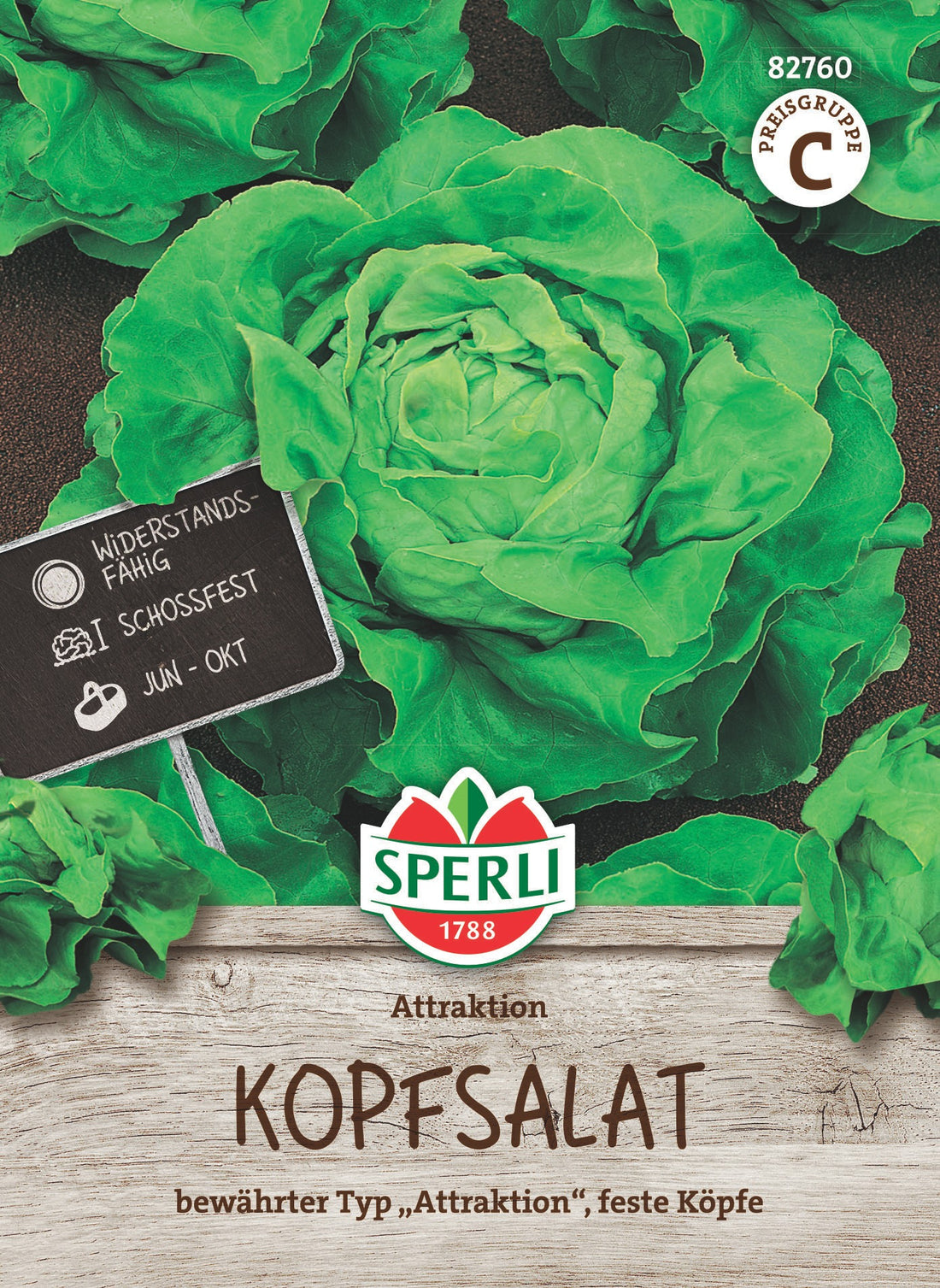 SPERLI Kopfsalat Attraktion