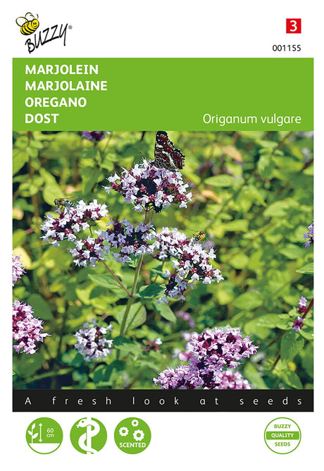 Buzzy Seeds Oregano Dost