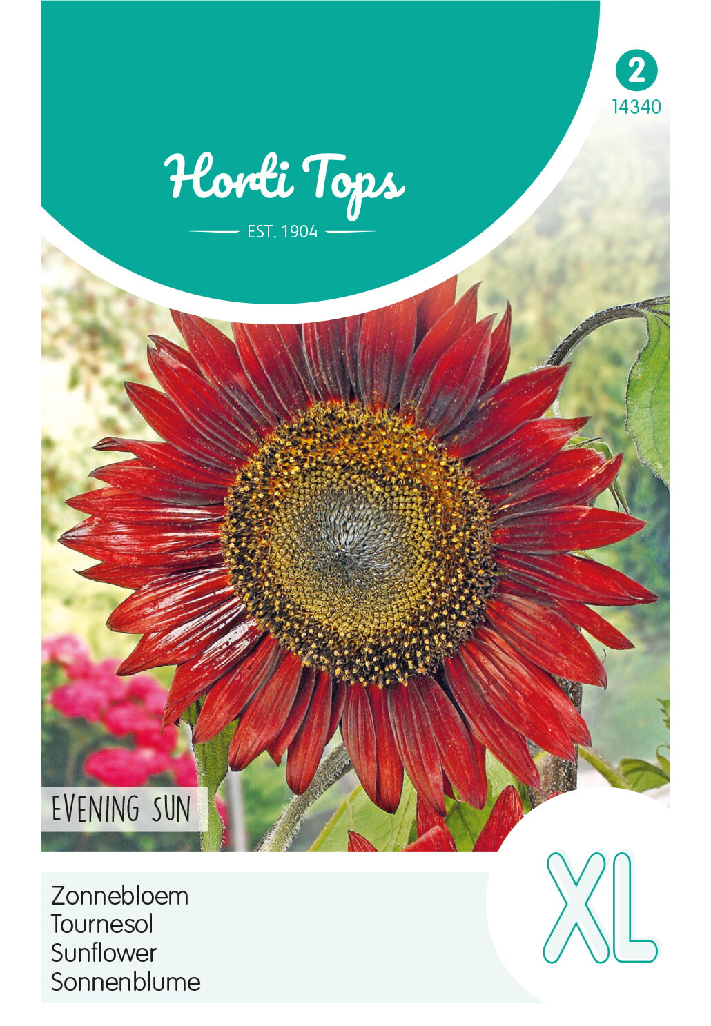 Horti Tops Sonnenblume Abendsonne