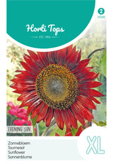 Horti Tops Sonnenblume Abendsonne