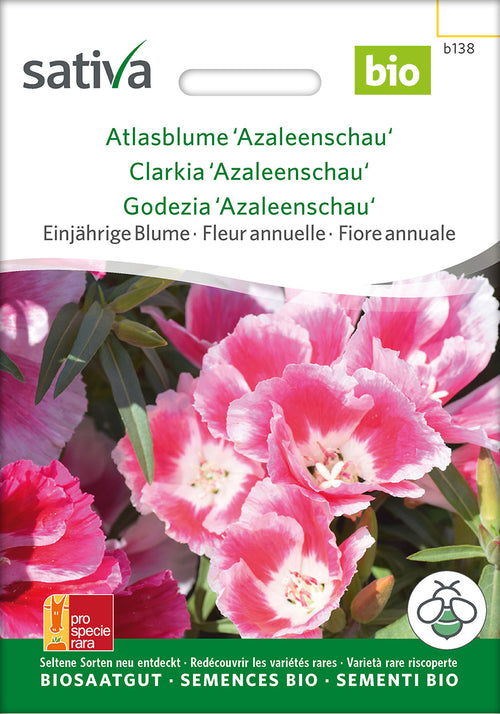 Sativa Atlasblume Azaleenschau