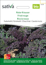 Sativa Federkohl / Grünkohl Roter Krauser