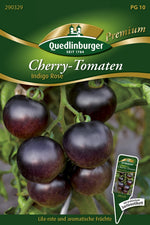 Quedlinburger Cherrytomate Indigo rose