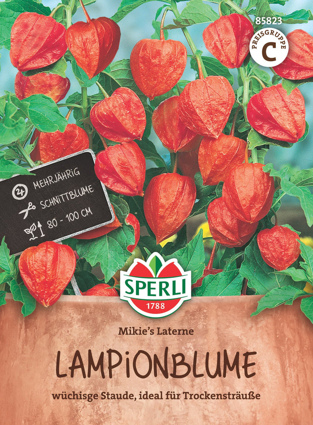SPERLI Lampionblume Mikie's Laterne