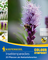 Insektenparadies