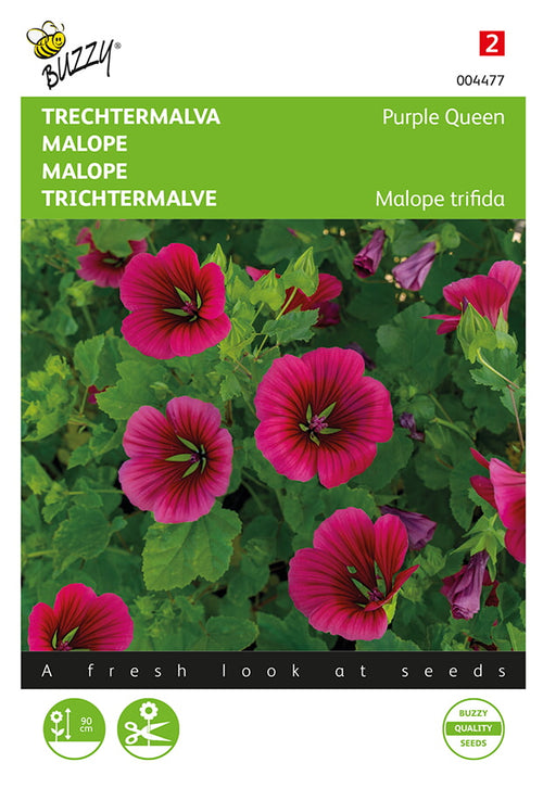 Buzzy Seeds Trichtermalve Purple Queen