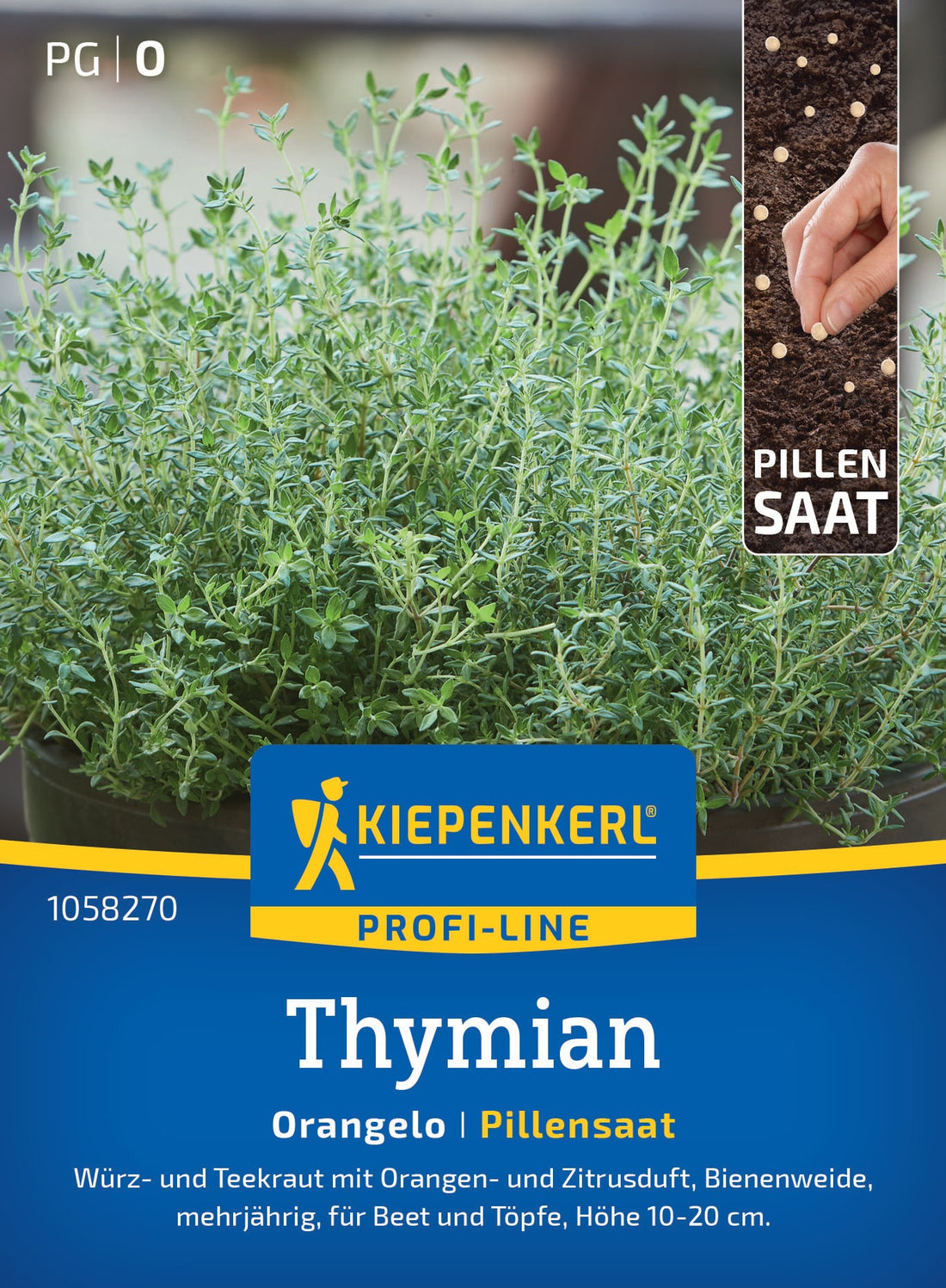 Kiepenkerl Thymian Orangelo Pillensaat
