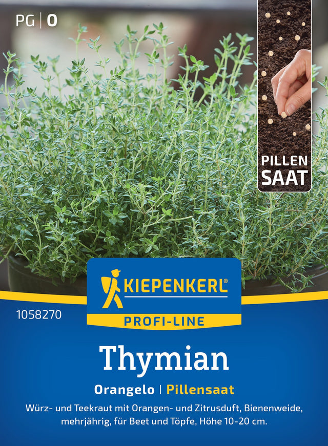 Kiepenkerl Thymian Orangelo Pillensaat
