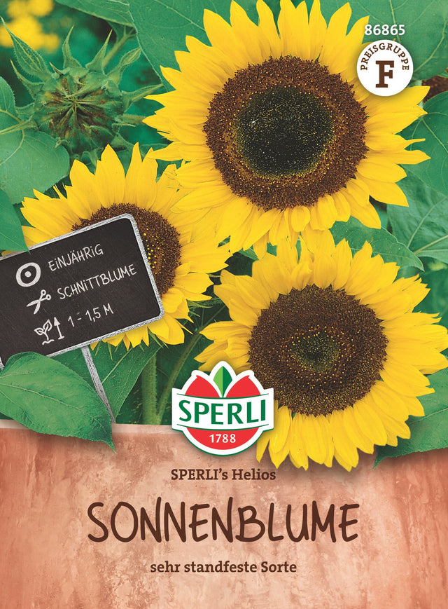 SPERLI Sonnenblumensame SPERLI's Helios
