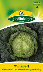 Quedlinburger Wirsingkohl Winterfürst 2