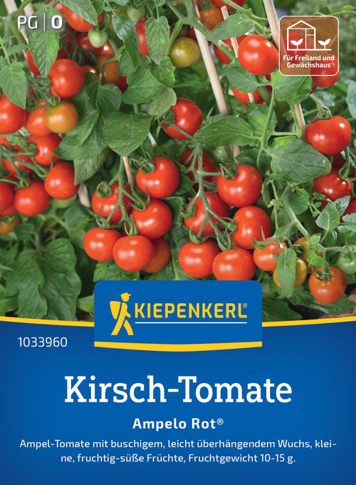 Kiepenkerl Cherrytomaten Ampelo Rot®