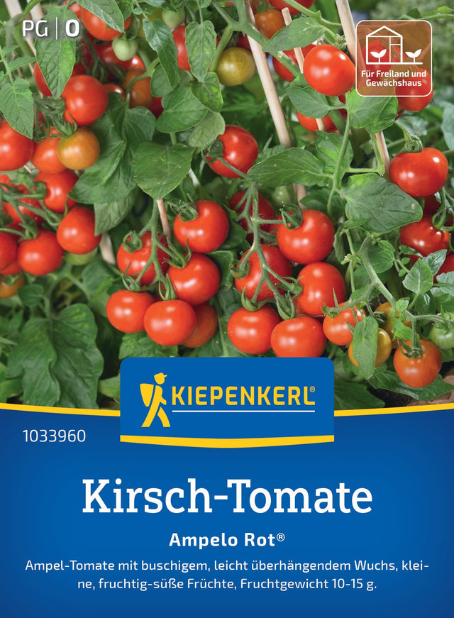 Kiepenkerl Cherrytomaten Ampelo Rot®