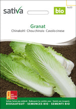 Sativa Chinakohl Granat