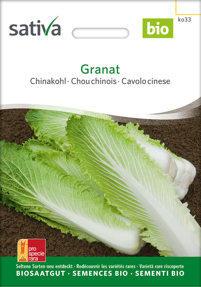 Sativa Chinakohl Granat