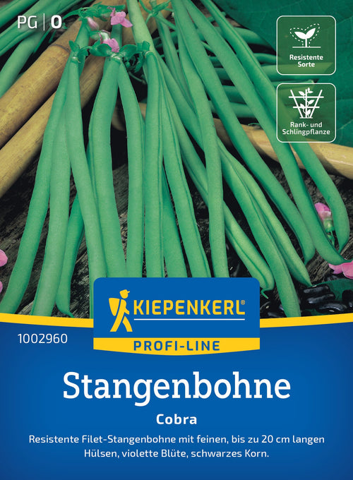 Kiepenkerl Stangenbohnen Cobra