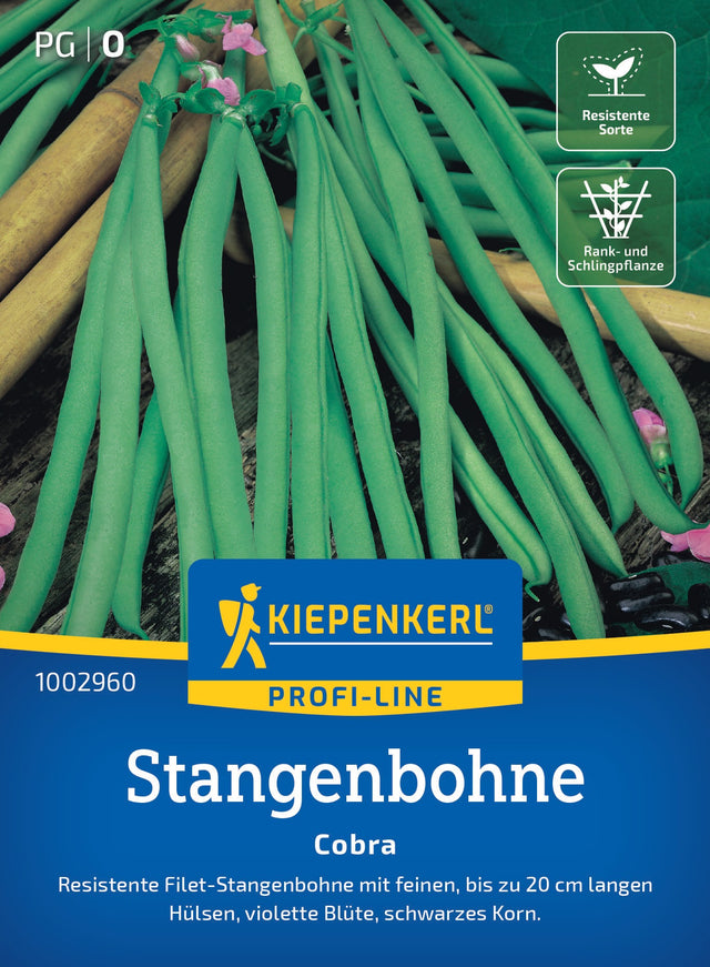 Kiepenkerl Stangenbohnen Cobra