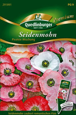Quedlinburger Seidenmohn Picotee Mischung