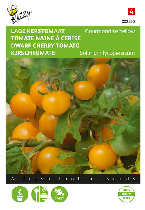 Buzzy Seeds Tomaten Gourmandise cherry