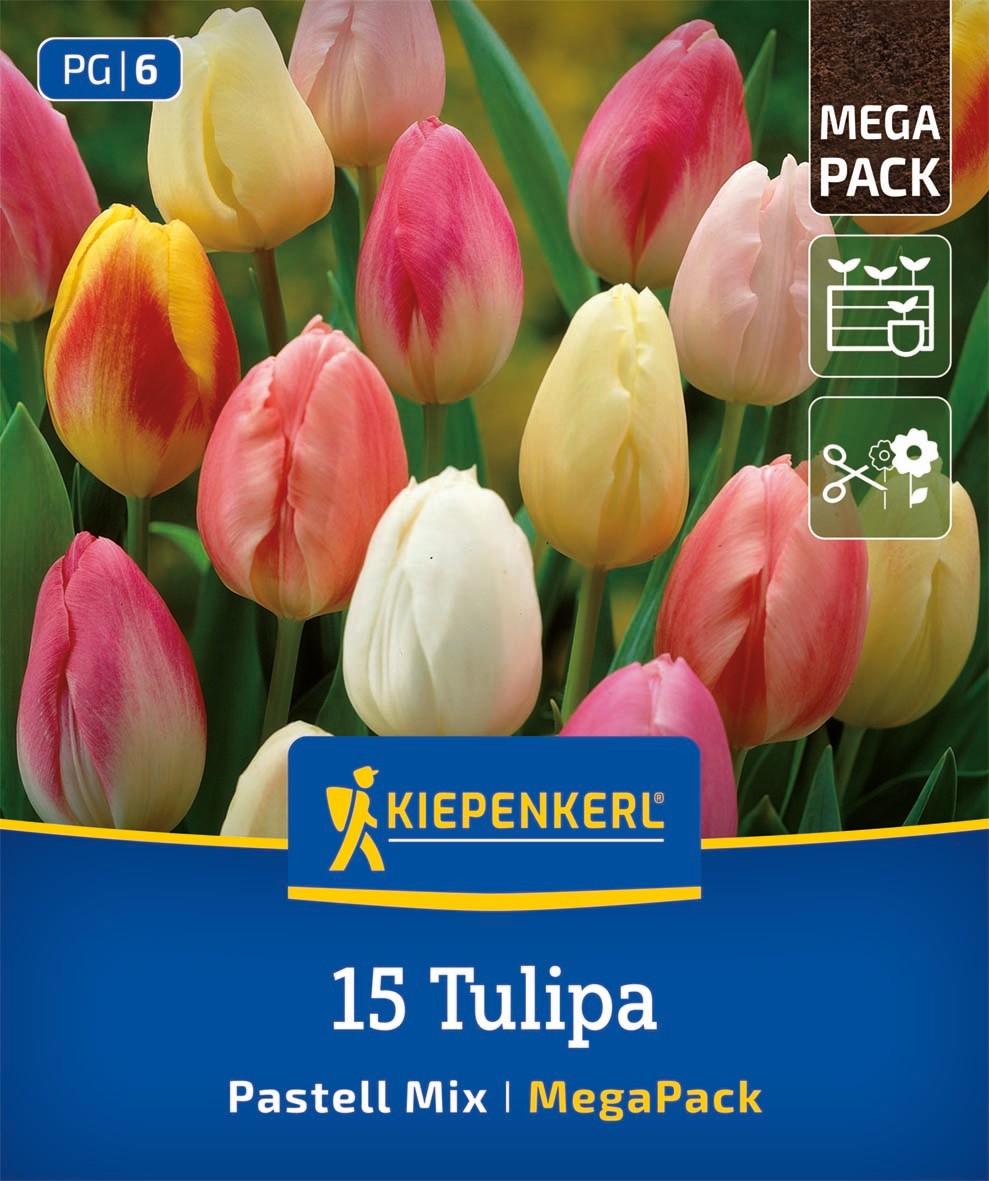 Mega-Pack Triumph-Tulpen Pastell-Mix