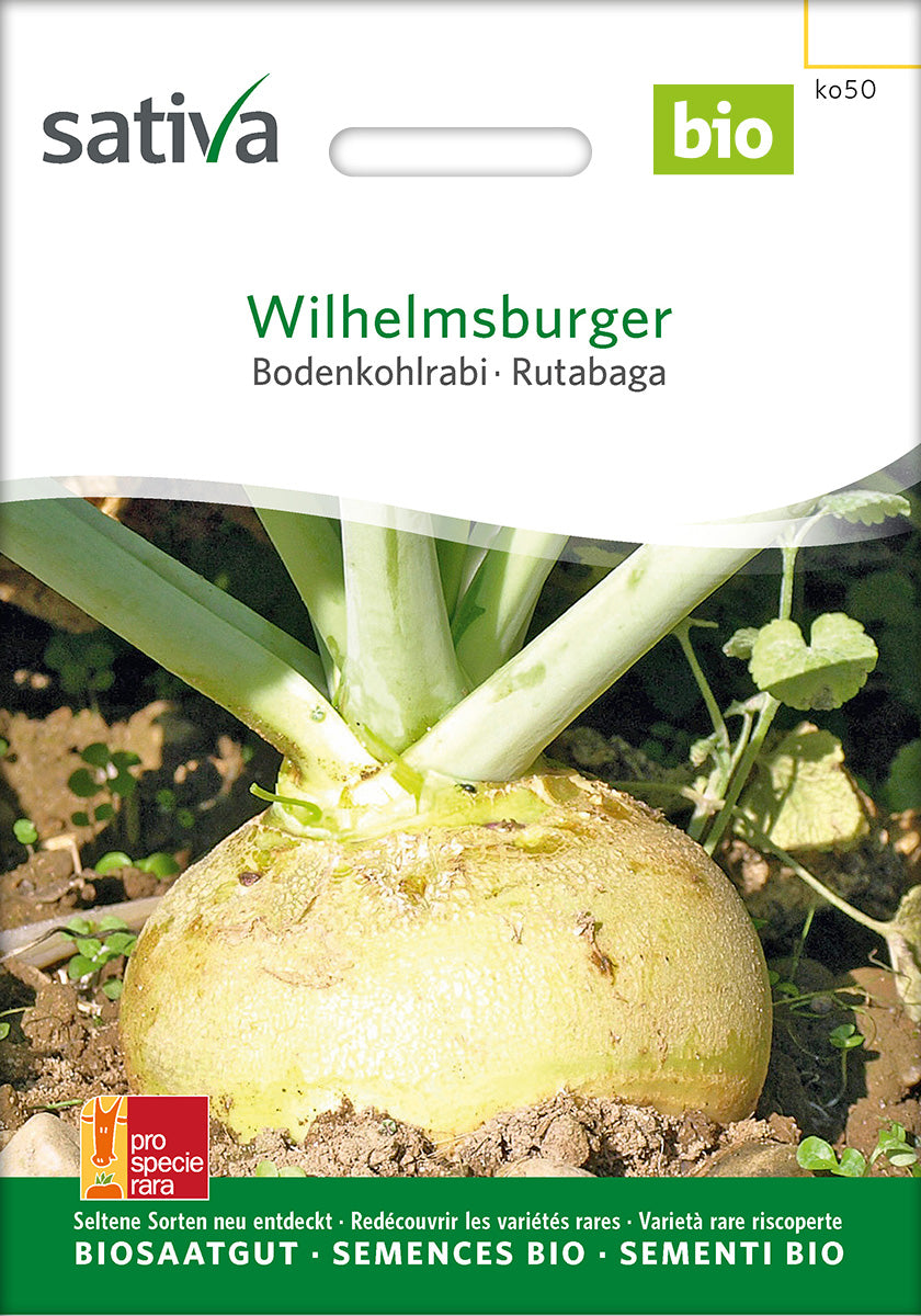 Sativa Bodenkohlrabi Wilhelmsburger