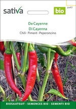 Sativa Chili De Cayenne