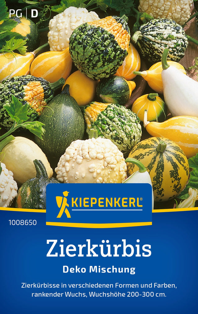 Kiepenkerl Kürbis Deko Mischung