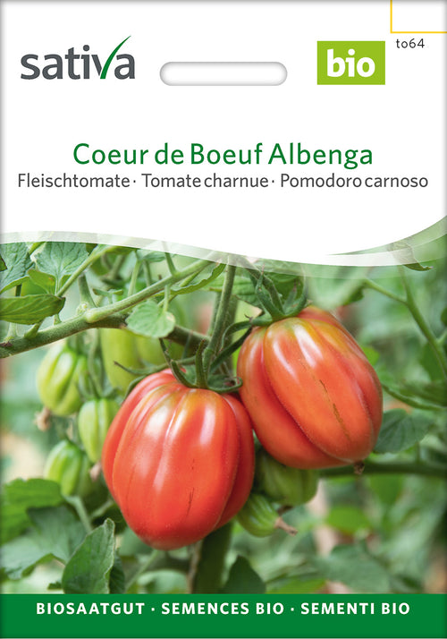 Sativa Fleischtomate Coeur de Boeuf Albenga