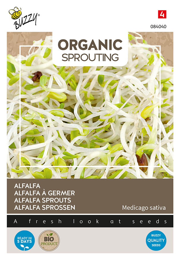 Buzzy Seeds BIO Keimsprossen  Alfalfa Luzerne (BIO)