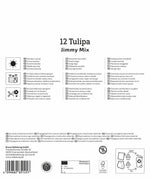 Mega-Pack Triumph-Tulpen Jimmy Mix