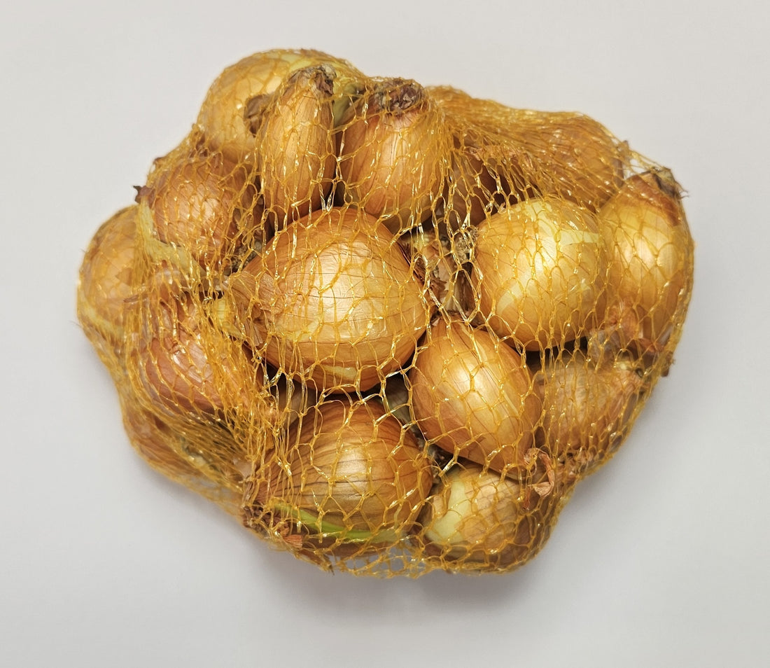 Samen Pfann Pflanzschalotten 22/44 500g