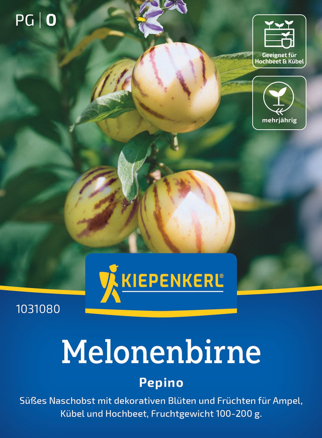 Kiepenkerl Melonenbirne Pepino