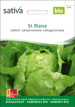 Sativa Lattich St. Blaise