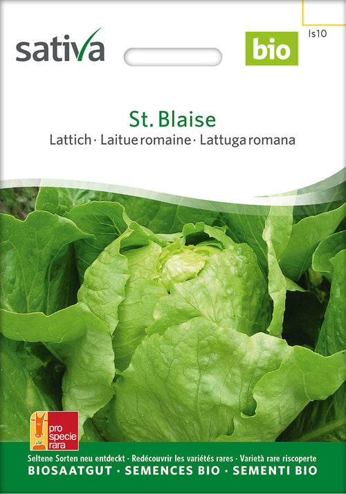 Sativa Lattich St. Blaise