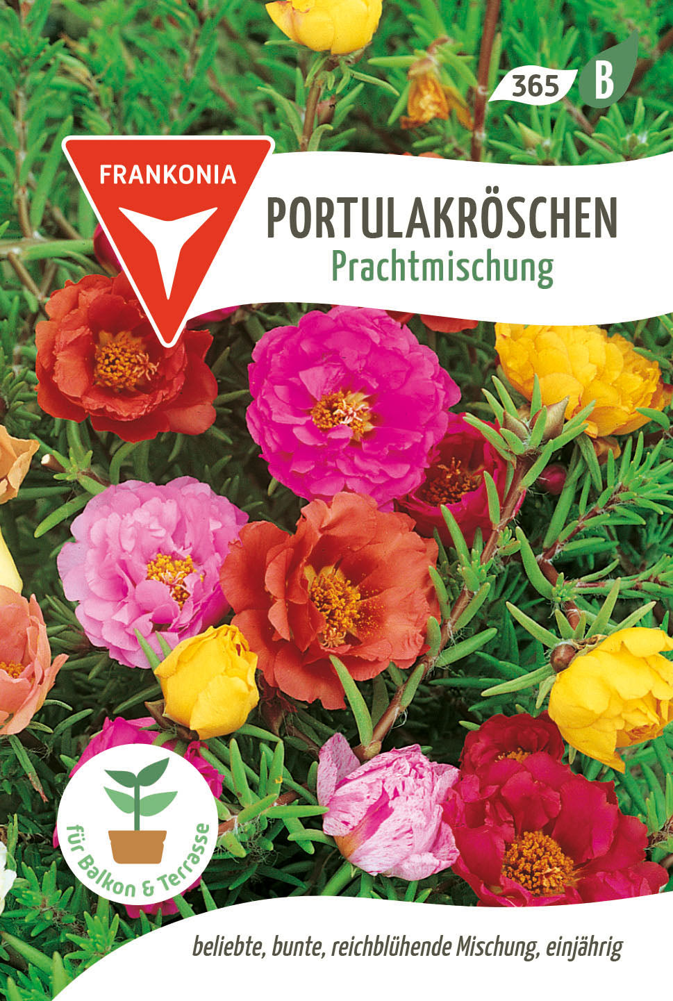 Frankonia Samen Portulakröschen Prachtmischung
