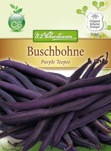 N.L. Chrestensen Buschbohne Purple Teepee, Gluckentyp