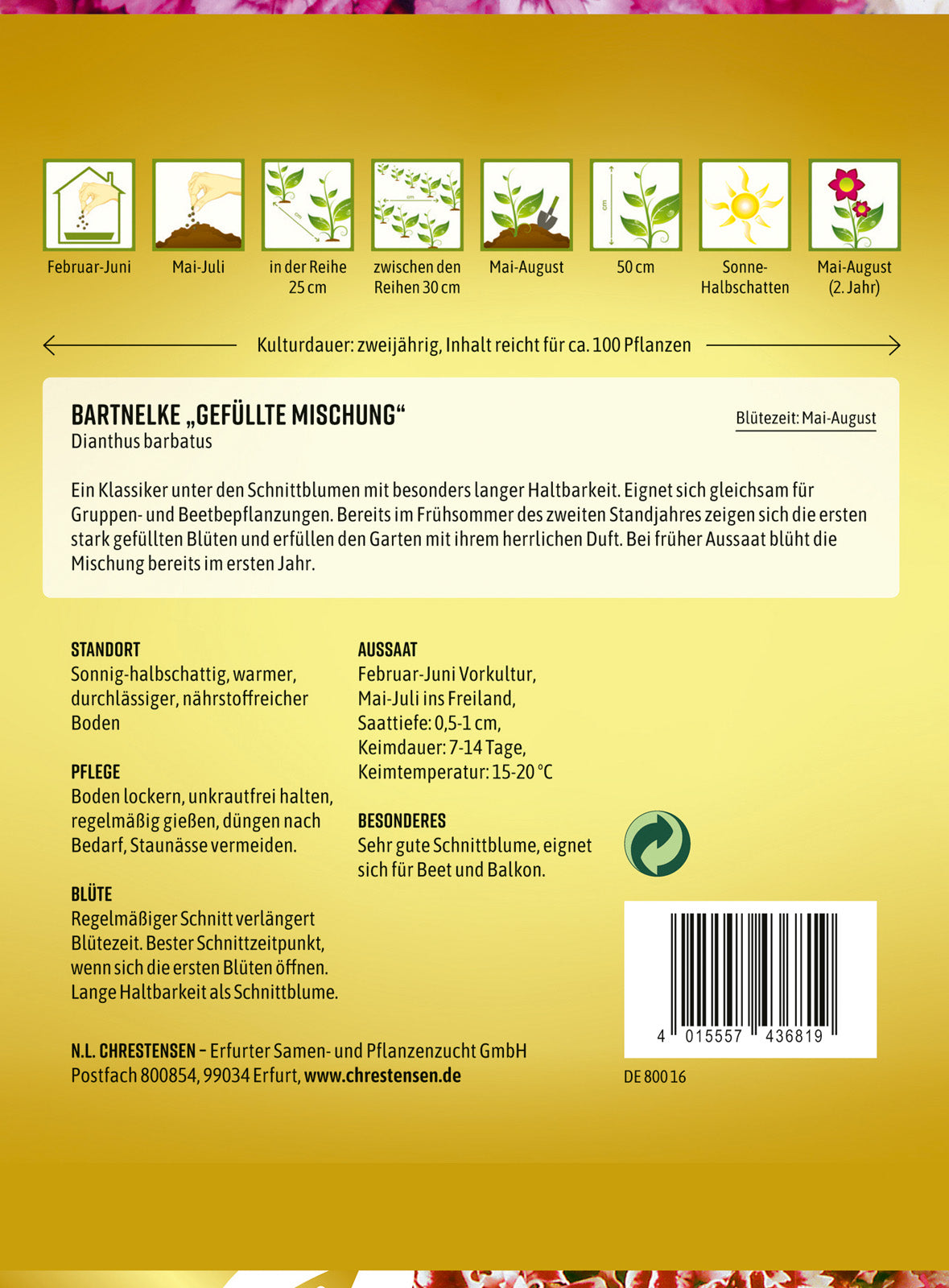 N.L. Chrestensen Bartnelke Gefüllte Mischung