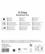 Mega-Pack Gefüllte späte Tulpen Rosentulpen-Mischung