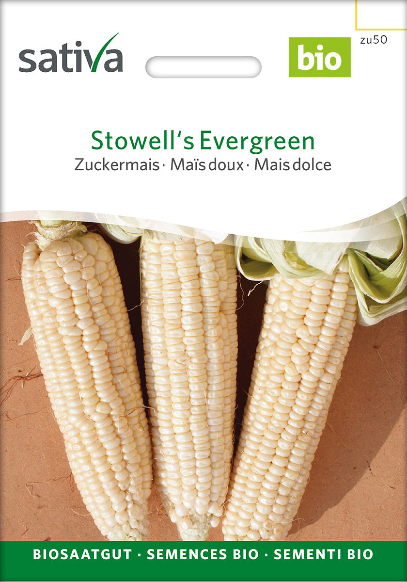 Sativa Zuckermais Stowell's Evergreen