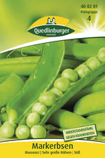 Quedlinburger Markerbse Maxigolt