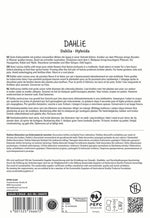 SPERLI Dahlie White Perfection