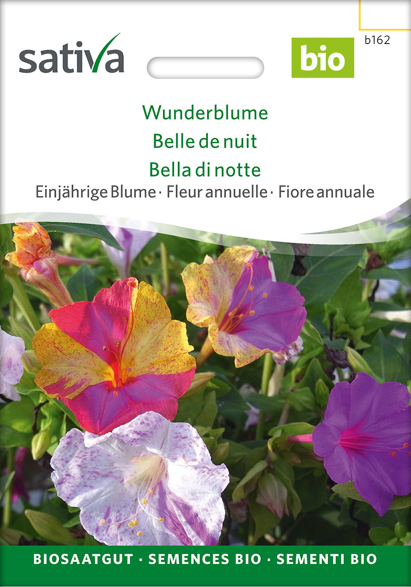 Sativa Wunderblume