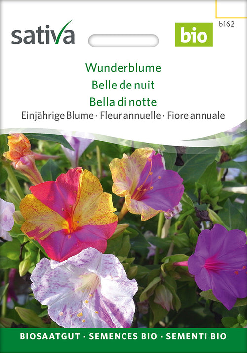 Sativa Wunderblume