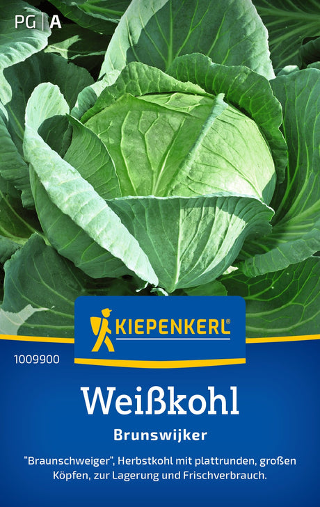 Kiepenkerl Weißkohl Brunswijker