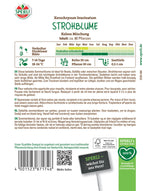 SPERLI Strohblume Koloss Mischung