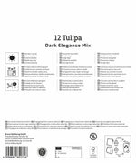 Mega Pack Dark Elegance